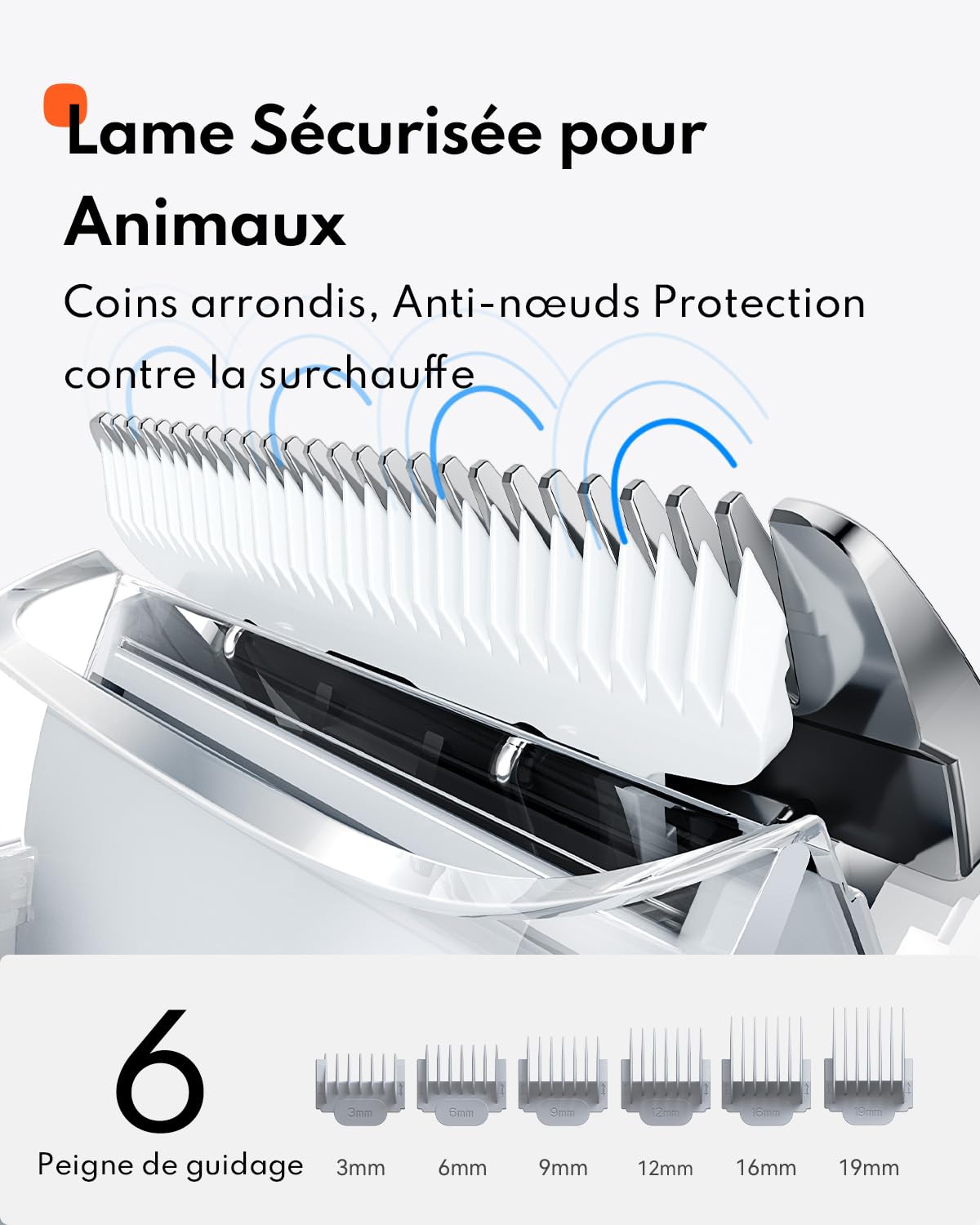 Homerunpet Aspirateur Poil de Chien, Ultrasilencieux & Super Aspirant Kit de Toilettage pour Animaux de Compagnie, Professionnel Tondeuse Chien Chat avec 6 Outils de Toilettage, 1,85L