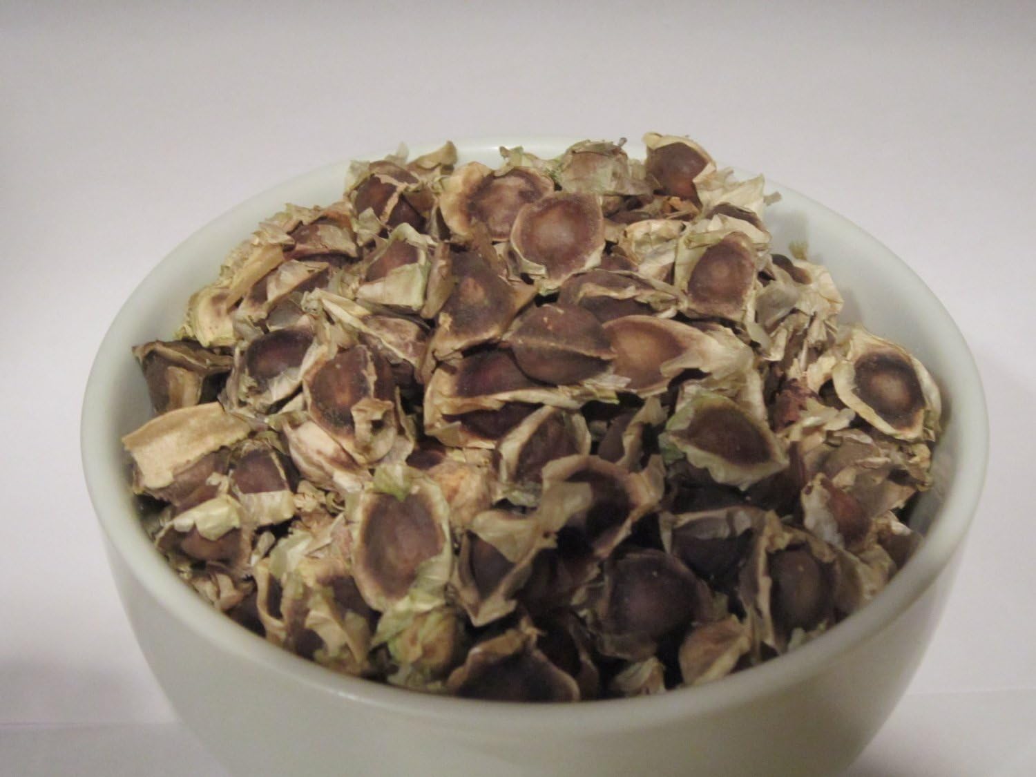 100 Moringa Oleifera seeds