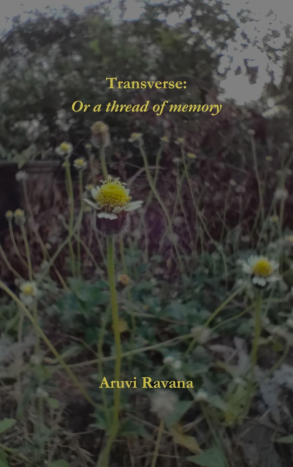 Transverse: Or a thread of memory - Kindle edition by Ravana, Aruvi ...