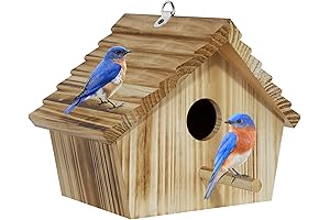 Auslar Bird House for Outdoor Bird Watching