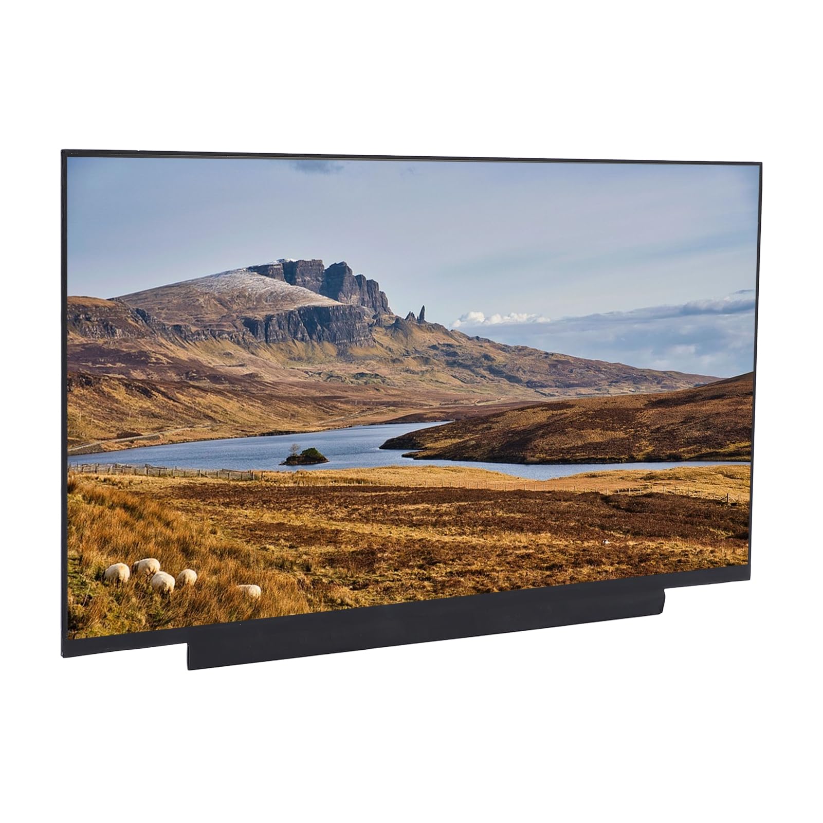 Topiky Pantalla No Táctil de 40 Pines de Grado Profesional de Reemplazo de Pantalla LCD de 14 Pulgadas para Usuarios de Portátiles