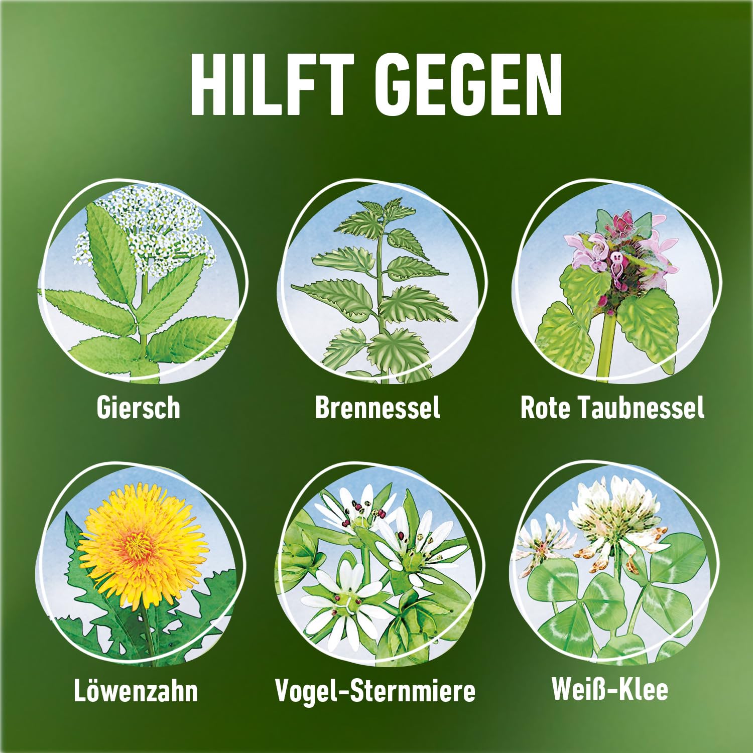 Compo Vorox Weed Killer Express AF - Yellow : Amazon.de: Garden