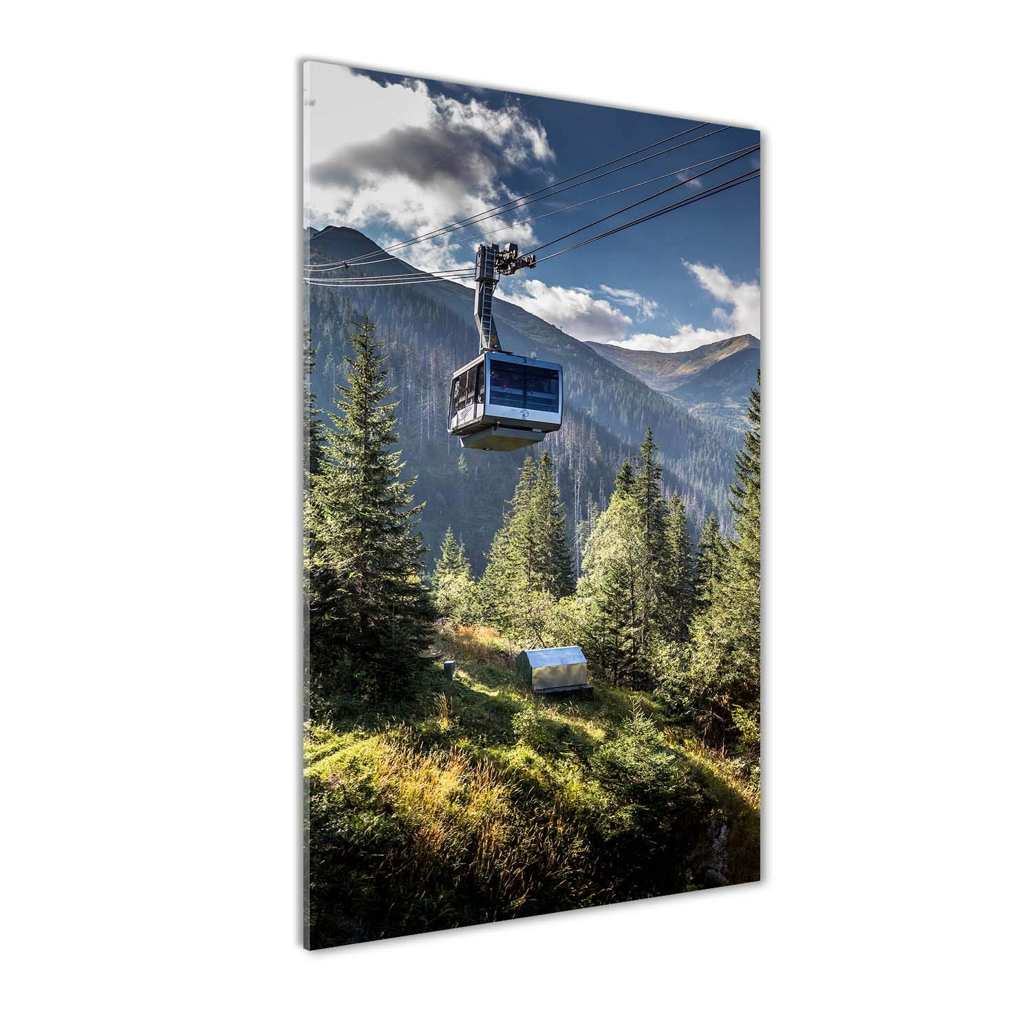 Tableau pour la mur en plexiglas 50x100 : le paysage vert idéal pour votre salon