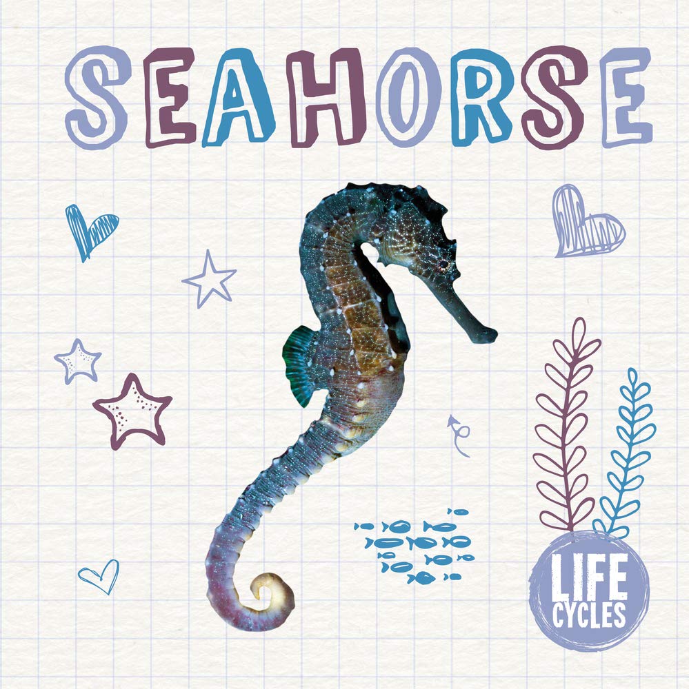 Seahorse by Madeline Tyler (Hardback Book)