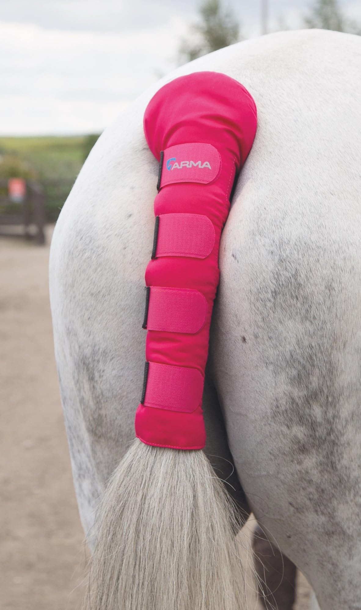 Shires - Protector acolchado para cola de caballo, rosa, talla única