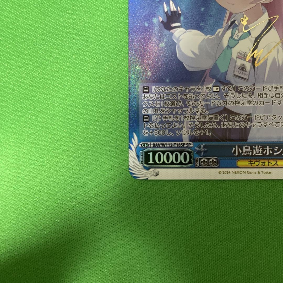 小鳥遊ホシノ　sp Amazon.co.jp: ヴァイス SP 1枚 小鳥遊ホシノ TD ブルアカ
