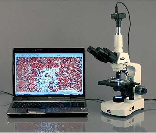 Vista 5 de AmScope Microscopio compuesto trinocular Siedentopf T340B-LED, aumento 40X-2000X, oculares Brightfield, WF10x y WF20x, iluminación LED, condensador