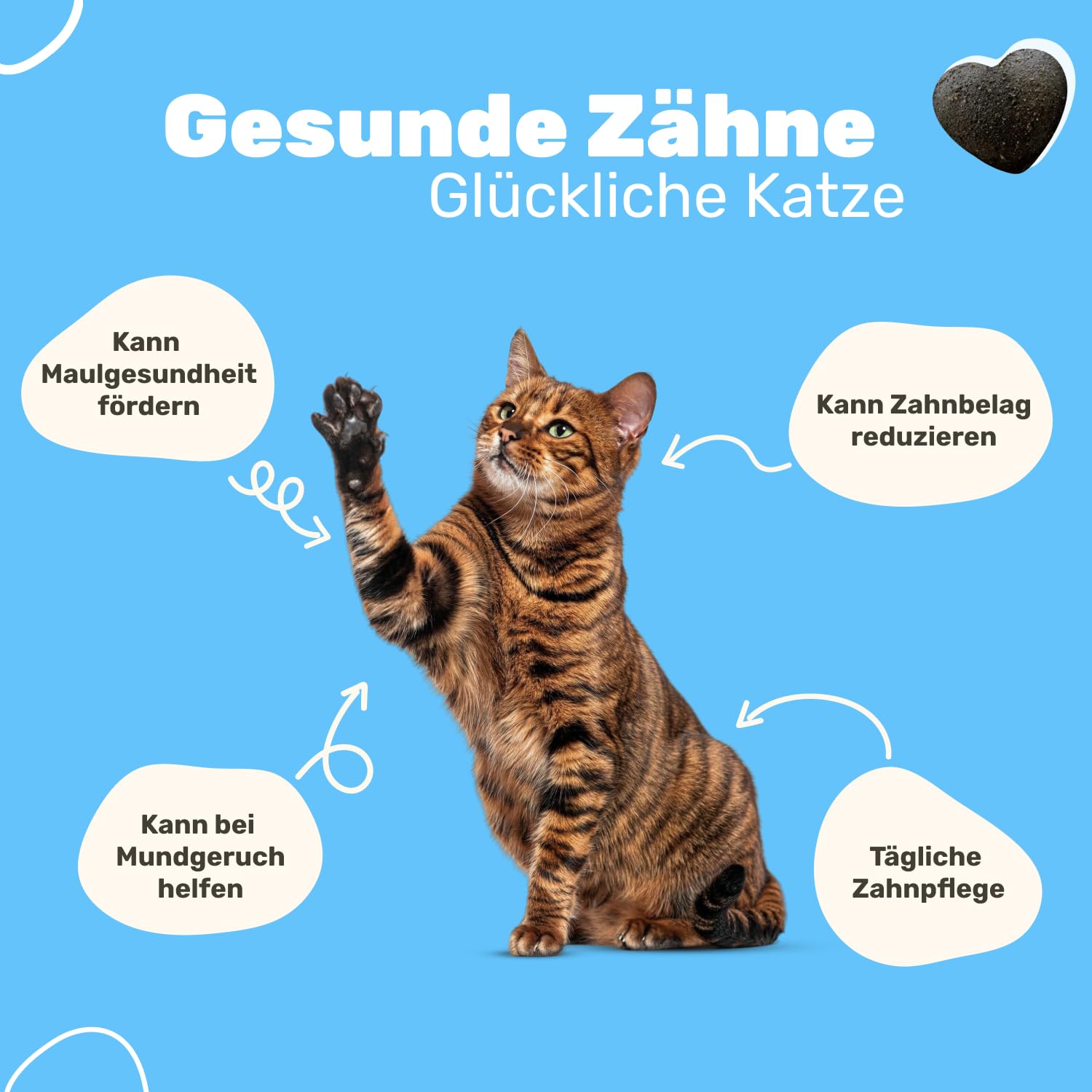 6-in-1 Zahnpflege-Snacks für Katzen | Reduziert Neubildung von Zahnstein & Maulgeruch | Unterstützt Maulhygiene | Ergänzungsfuttermittel Katze | Tierärztlich entwickelt | Patsli Smile