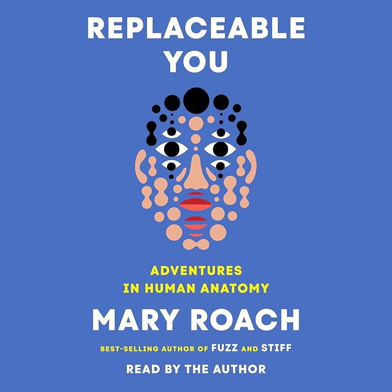 Carousel Item: Replaceable You