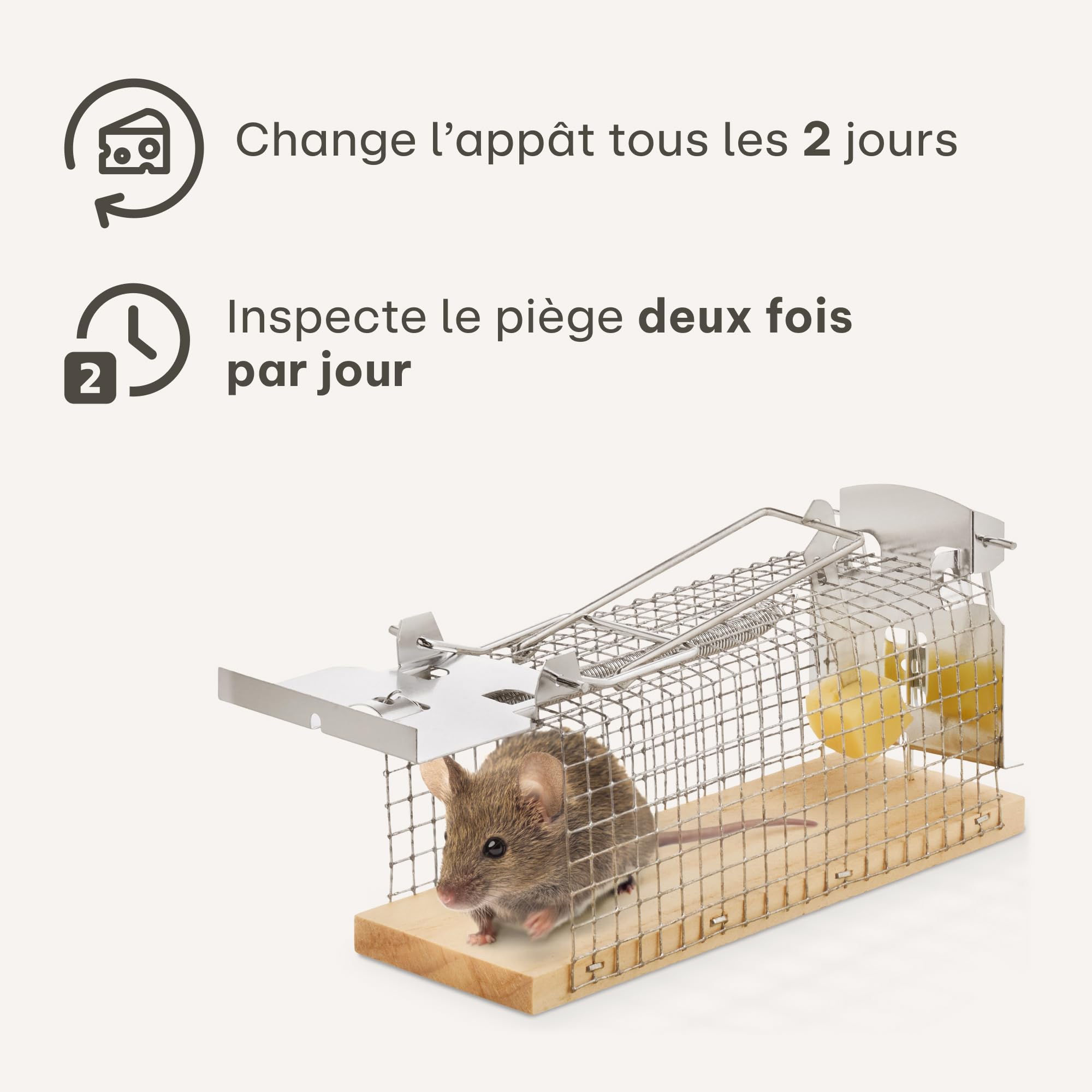 Praknu Piège à Souris Vivant - 4 Pièces - Respectueux des Animaux - Réutilisable - Fabriqué à Partir de Bois FSC® Écologique - Prêt à l'emplo