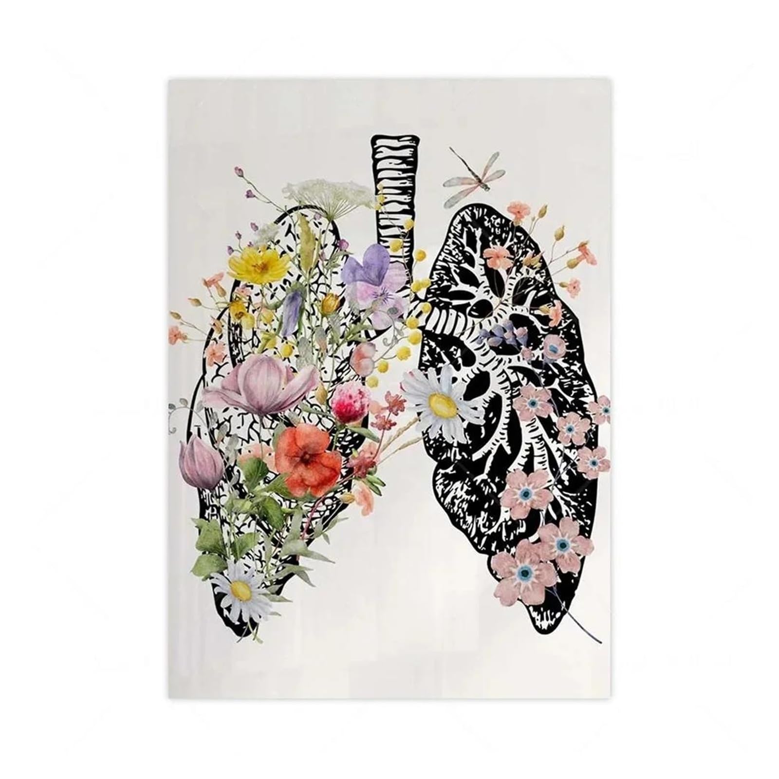 Cuadro sobre lienzo con póster artístico de anatomía del corazón y pulmones en acuarela