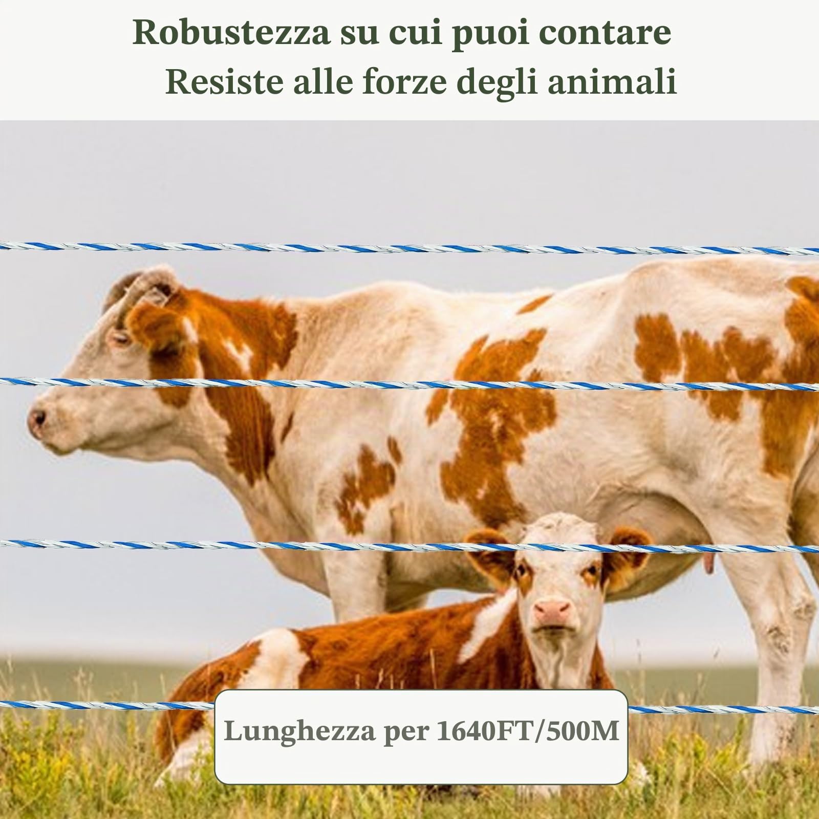 mumisuto Filo Per Recinto Elettrico 500/1000 Metri Con 6/9 Fili Conduttori, Filo Conduttore Tondo Per Recinti Elettrici Recinzioni Elettriche Per Animali Cinghiali Mucche Cavalli (Blu, 500M)