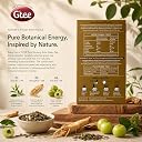 GTEE Green Tea Bags | Antioxidant Rich | Ginseng, 25 Tea bags gallery image