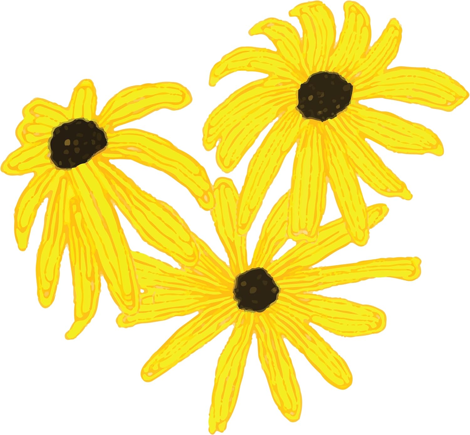 Blackeyed Susan (Rudbeckia hirta) Live Plant in 2.5 inch Pot - Organic Native Pollinator Plant by Smoke Camp Crafts