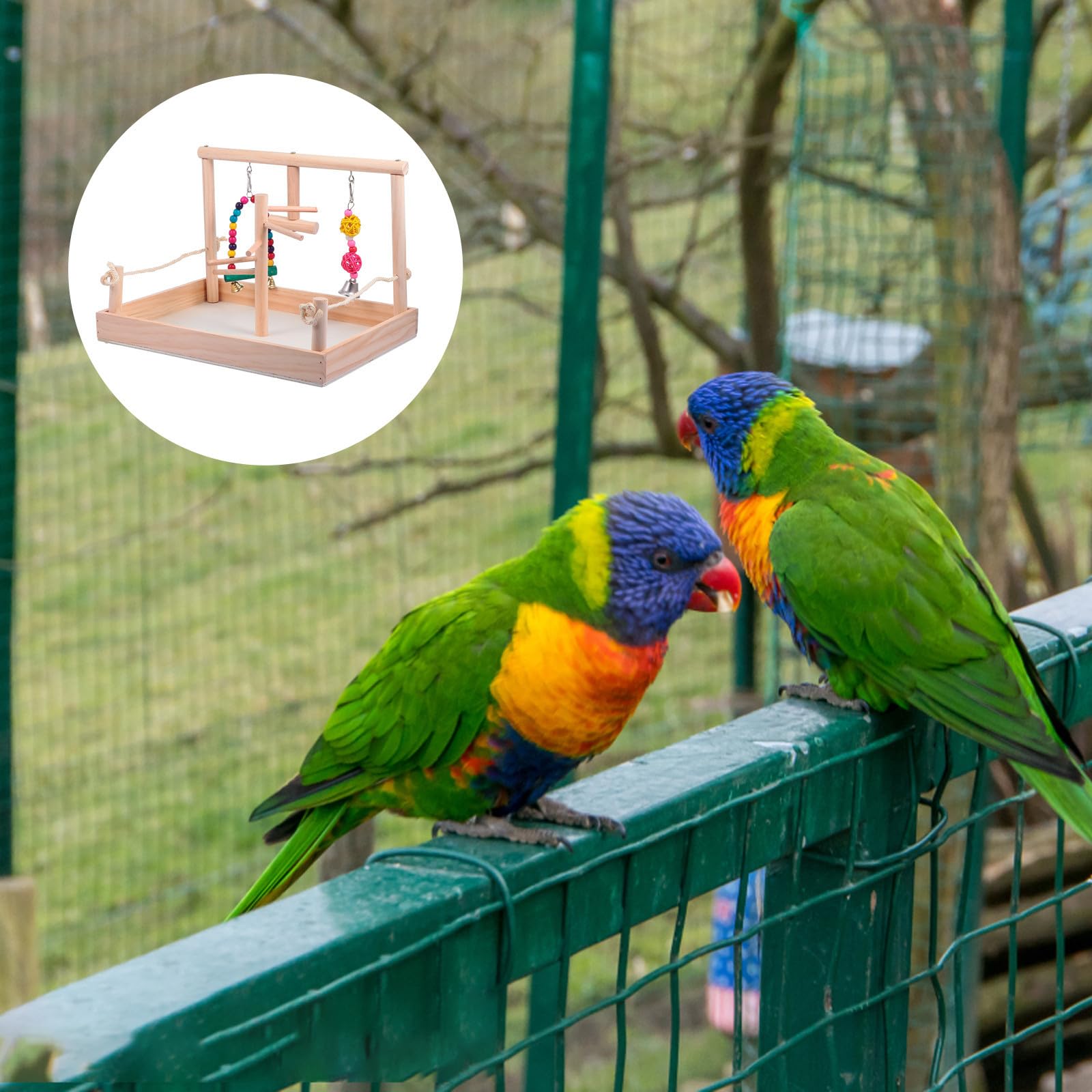 Ciieeo Holz Vogelspielzeug für Papageien und Wellensittiche, Khaki