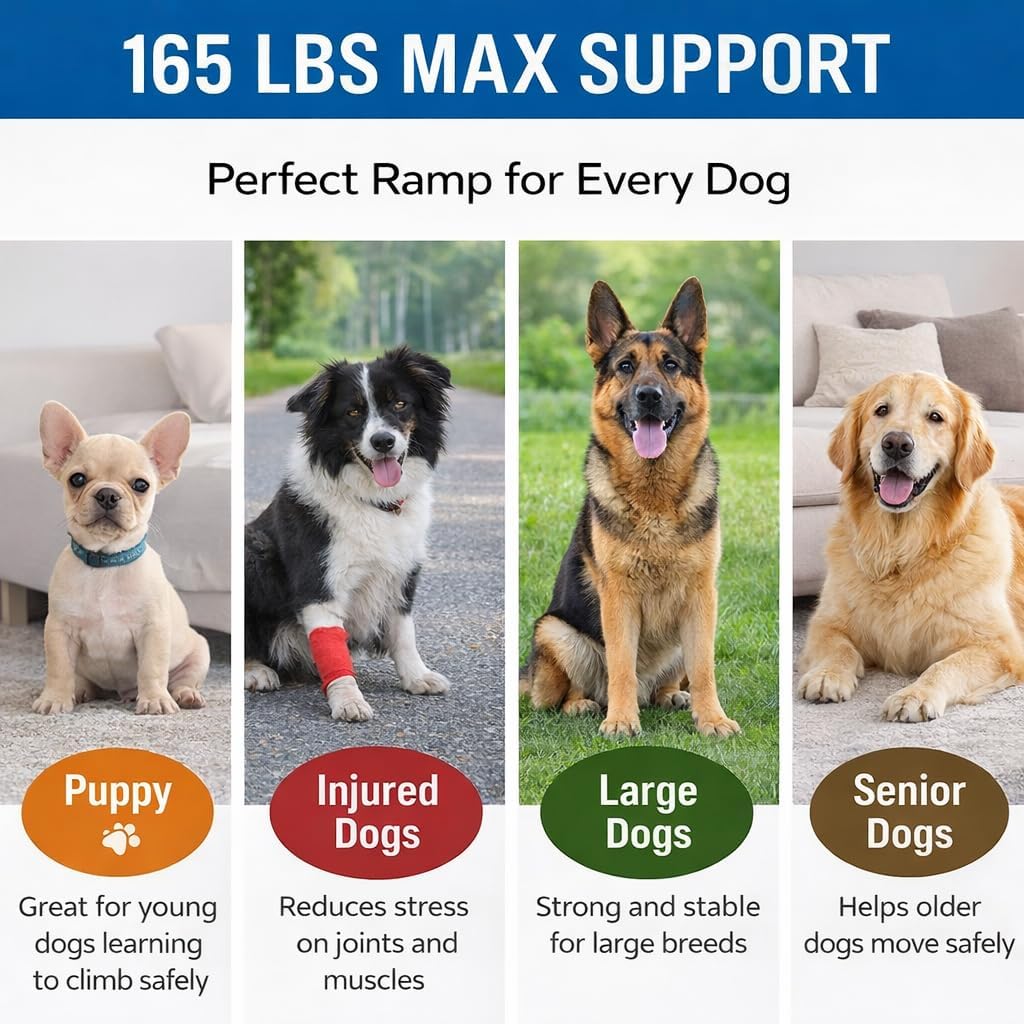 Japard Dog Ramp for Car, 63" Long & 17" Wide Folding Portable Pet Stair Ramp with Non-Slip Rug Surface, Extra Wide Dog Steps for Medium & Large Dogs Up to 165LBS Enter a Car, SUV & Truck