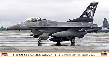 Amazon | ハセガワ 1/48 アメリカ F-16CM-50 ファイティング