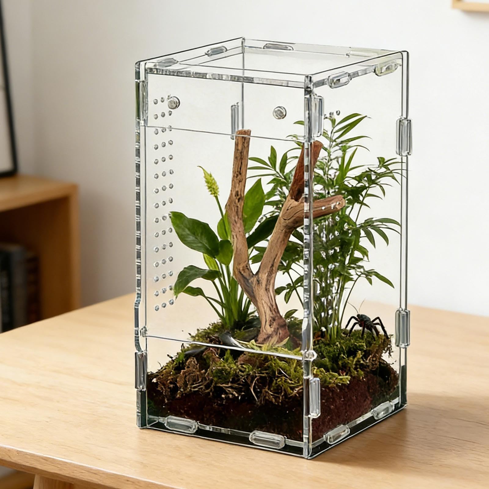 Amazon | クモ飼育ケース | アクリル製タランチュラ飼育ケージ