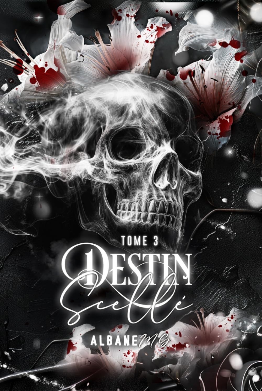 Destin Scellé (Série Destin)