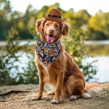 Jupsk Pet Dogs Cats Cowboy Costume Hats And Bandanas Scarf Set Of 4