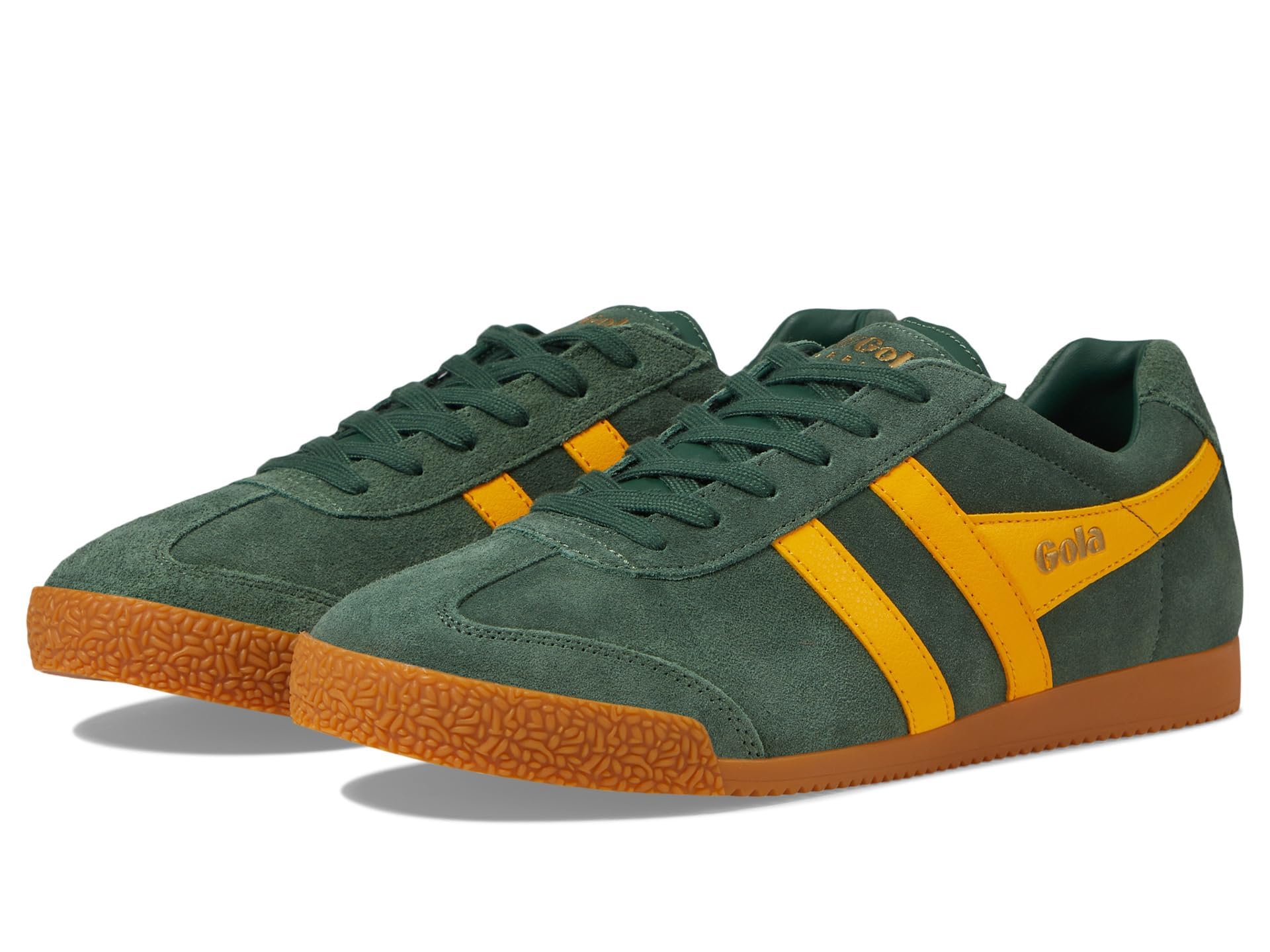 Gola Harrier