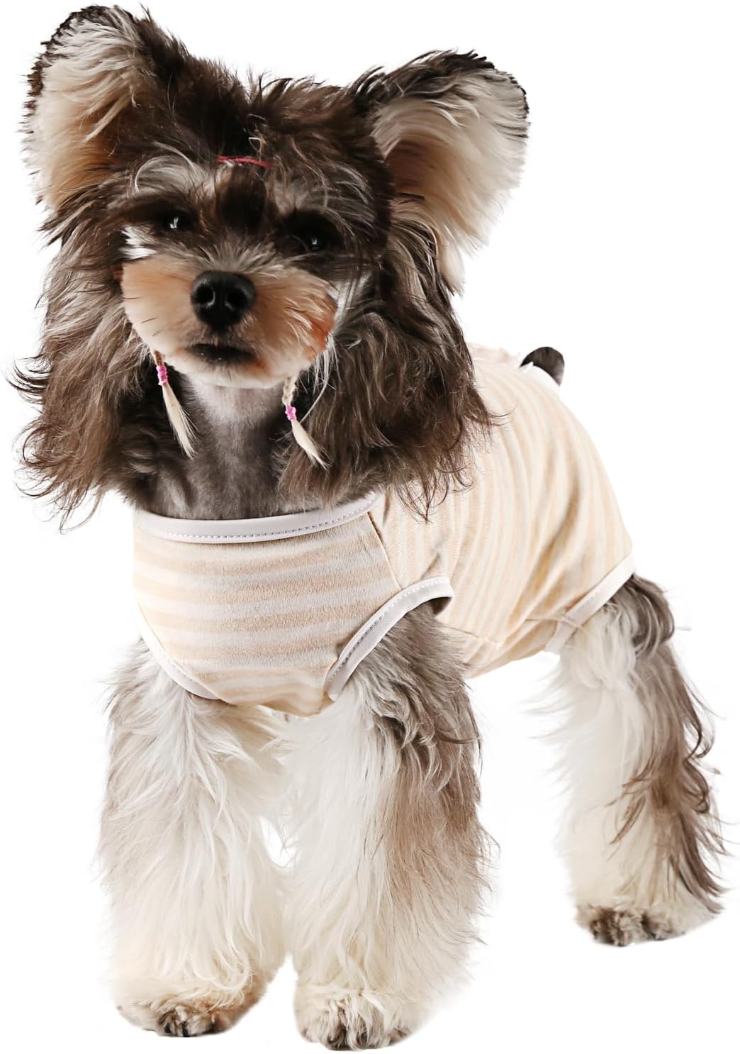 Etdane Dog Period Diapers Small Dog Sanitary Panties Period Suit for Male Female Dogs Diaper Cover for Heat Yellow/X-Large