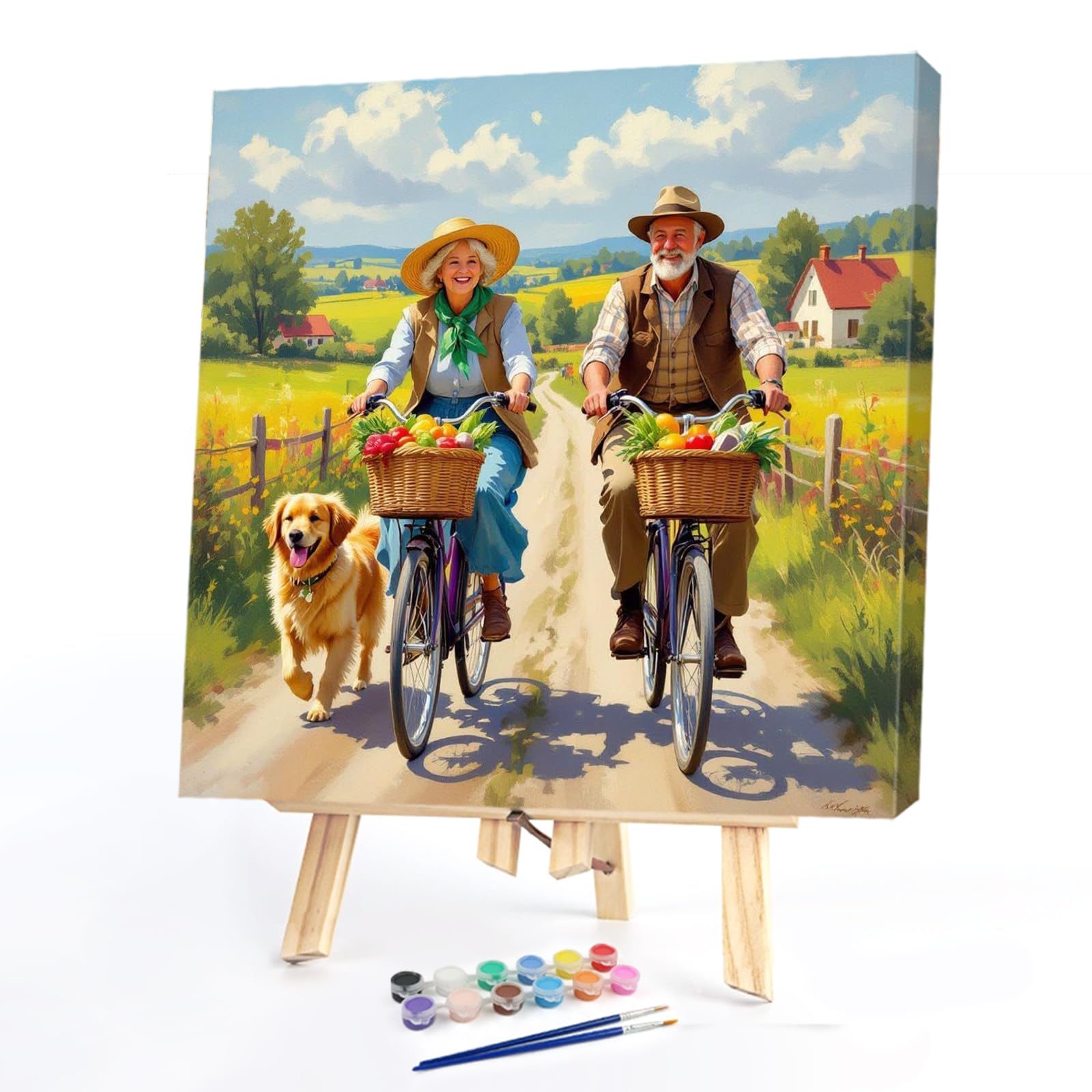 Kexpery Painting by Numbers Kit for Senior Adults 40x40cm Frameless Canvas Painting Easy to Make Home Decoration