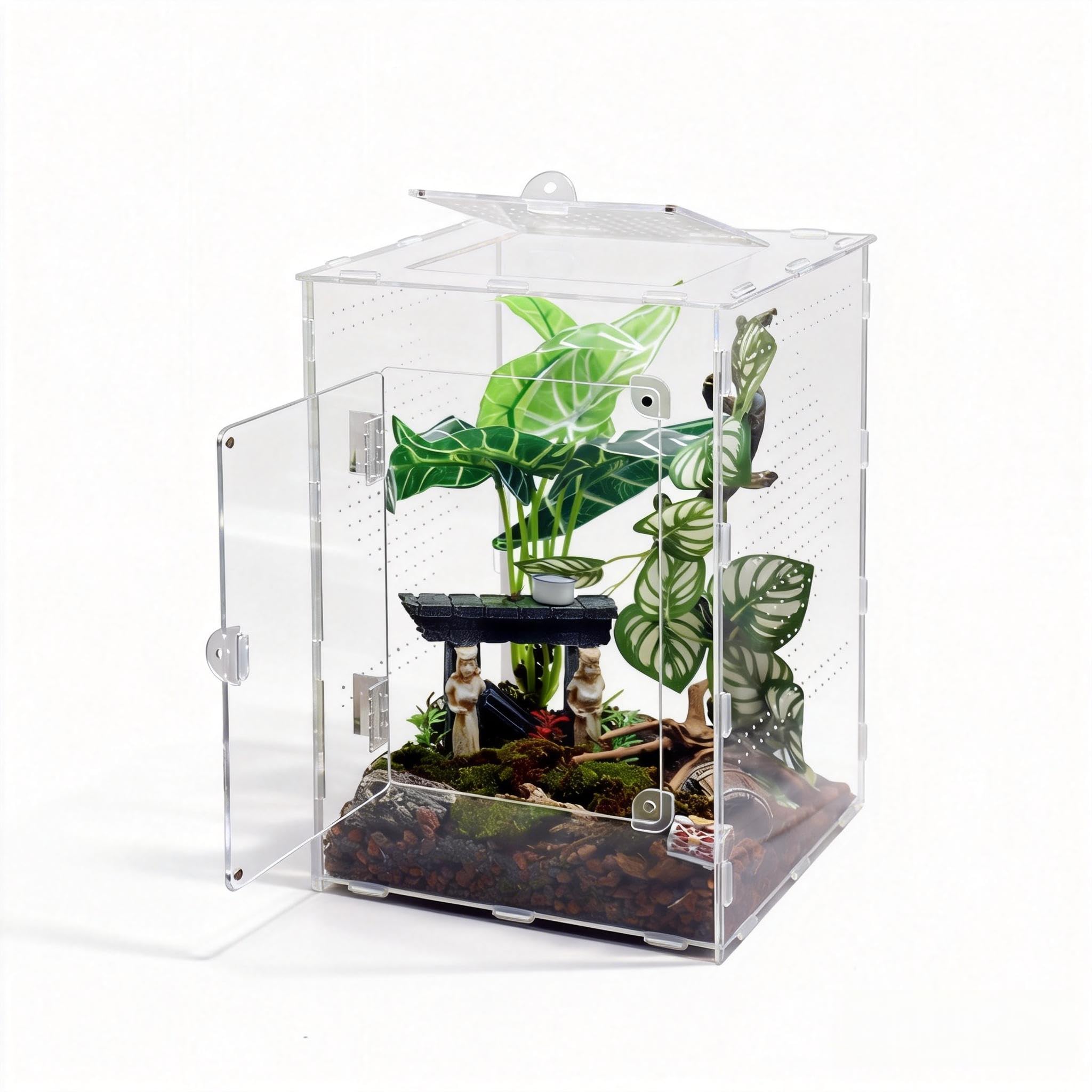 Photo 1 of MaryCarrie Large Jumping Spider Enclosure, Acrylic Ventilated Terrarium with Magnetic Front and Top Doors, 8.5x8.5x12 Inch, Transparent, Lockable (Large Size)
