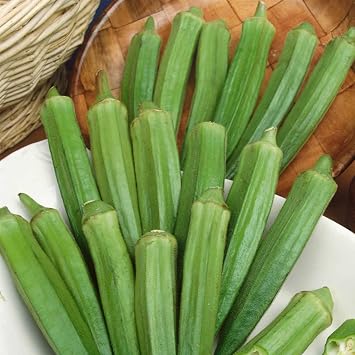 Mountain Valley Seed Co Clemson Spineless Okra Garden Seed 1 Lb 6,720 Seeds
