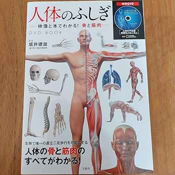 支える、動く 骨・筋肉系 人体の不思議 Amazon.co.jp: 支える、動く骨・筋肉系 (人体の不思議 Volume 1