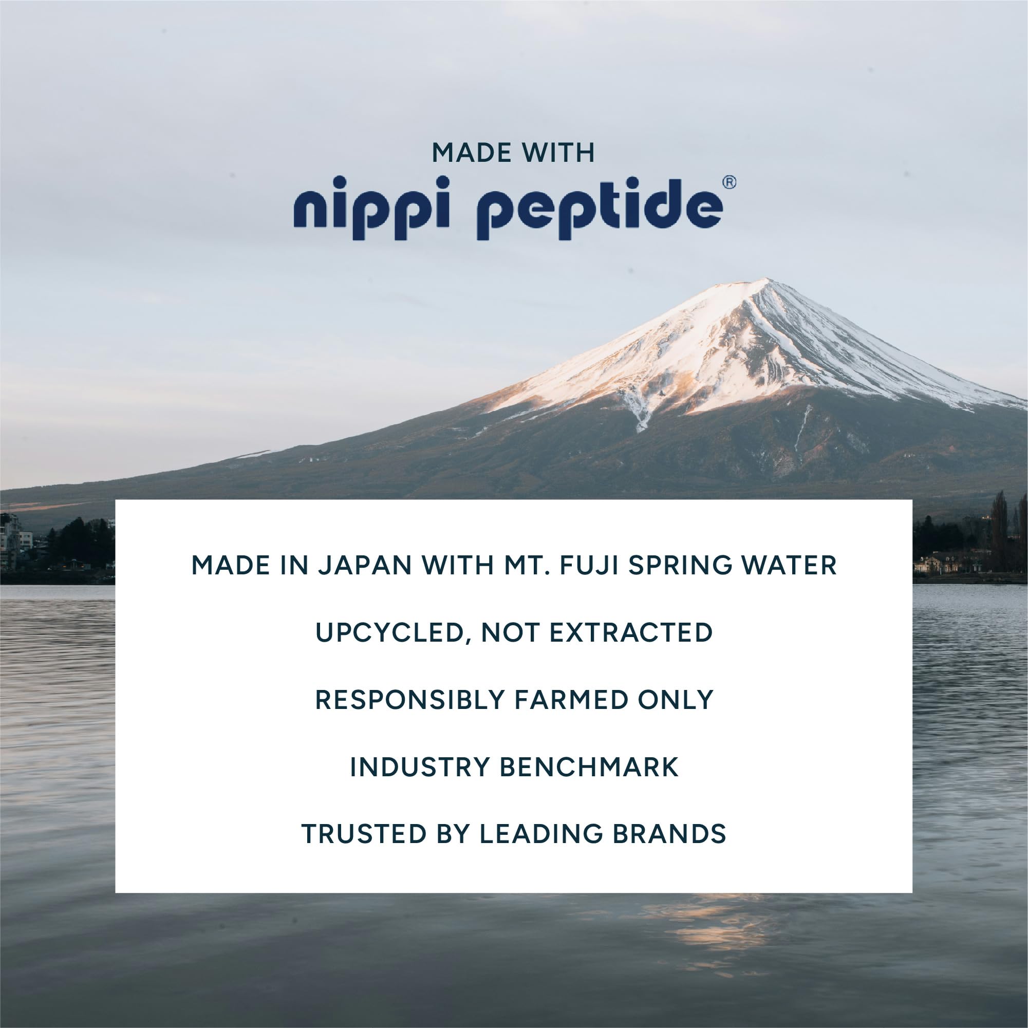 Marine Collagen Peptides Powder - Made with Nippi Peptide® from Japan, Hydrolyzed Type I Fish Collagen, Unflavored, 10g per Serving, Third-Party Tested, Skin, Hair, Nails & Joint Support - 30 Servings — Amazon image 5