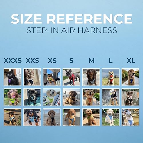 Miniatura 6 de Best Pet Supplies - Arnés Voyager Step-in Air de malla y correa reflectante para perro de 5 pies, apta para todos los climas, con mango de neopreno,