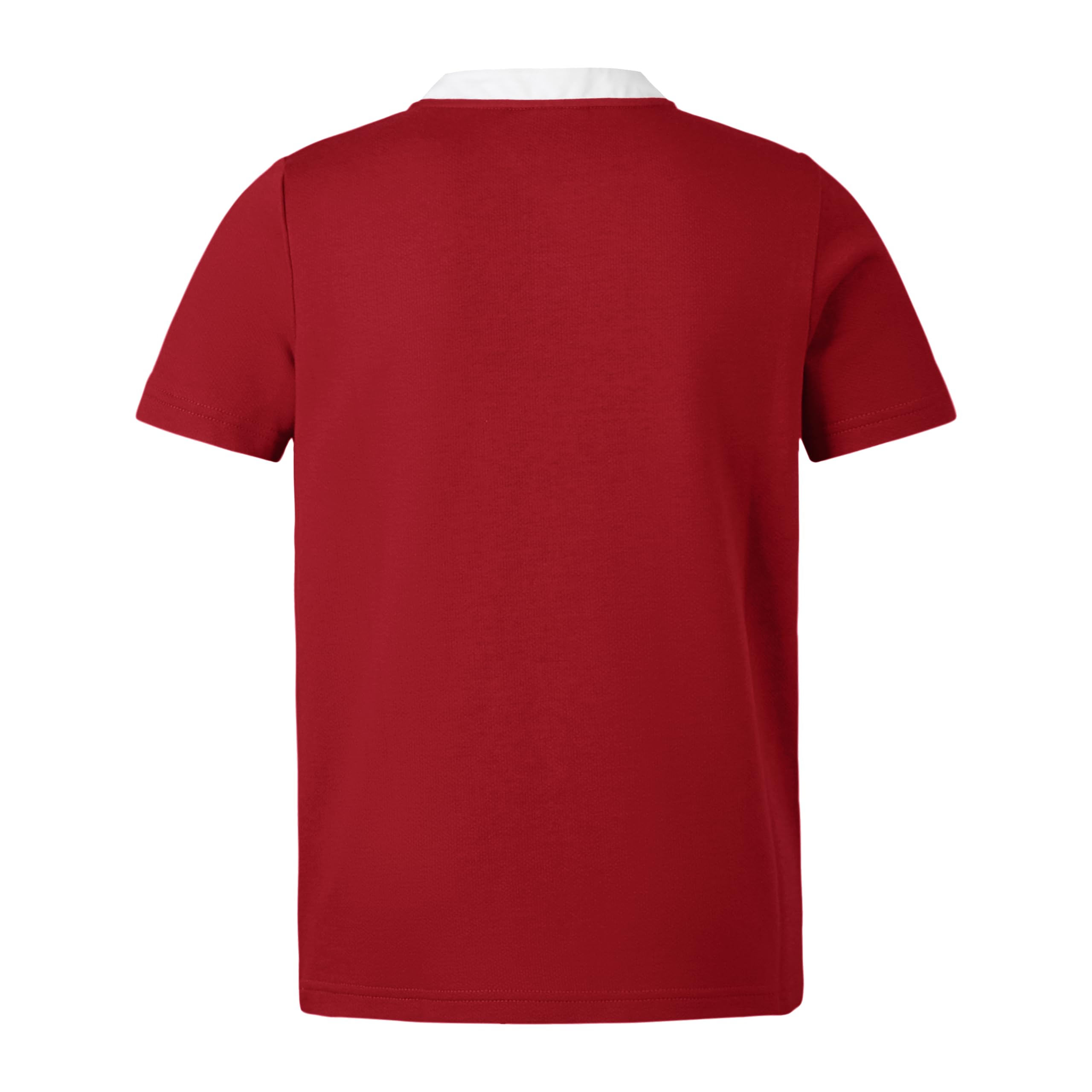 Canterbury of New Zealand - British and Irish Lions SS Classic, Camisa Niños Unisex, Red Dahlia,