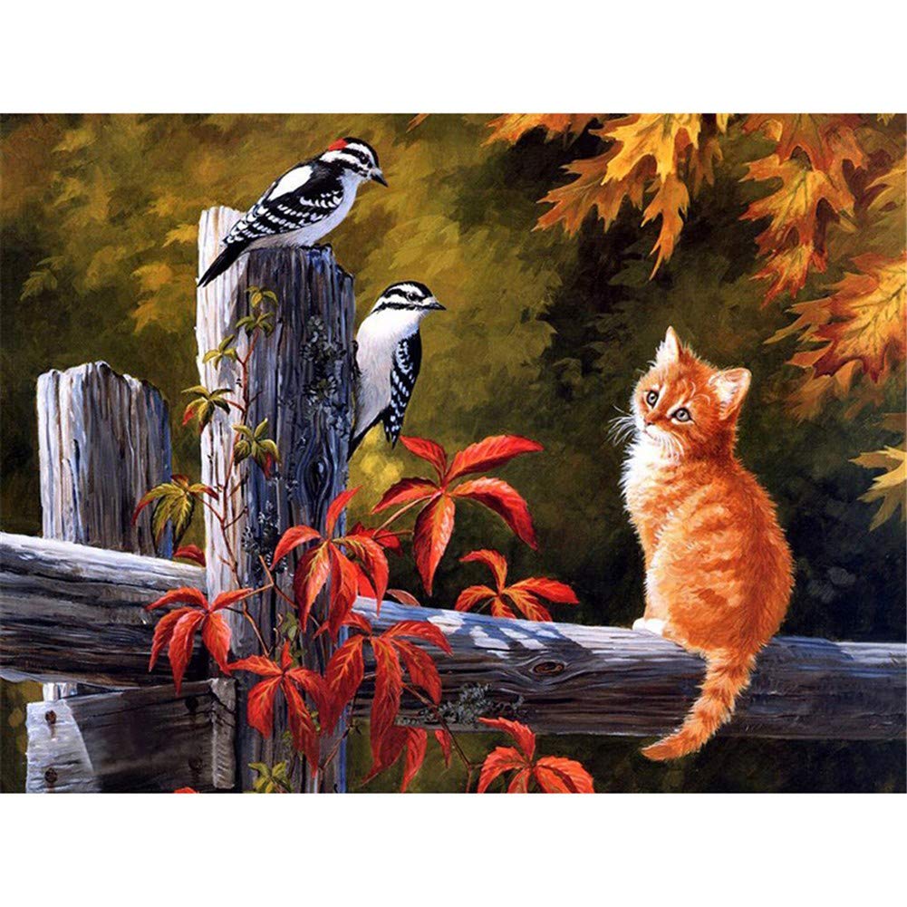 Peinture diamant chat oiseaux cadeau créatif enfant et adulte 5D