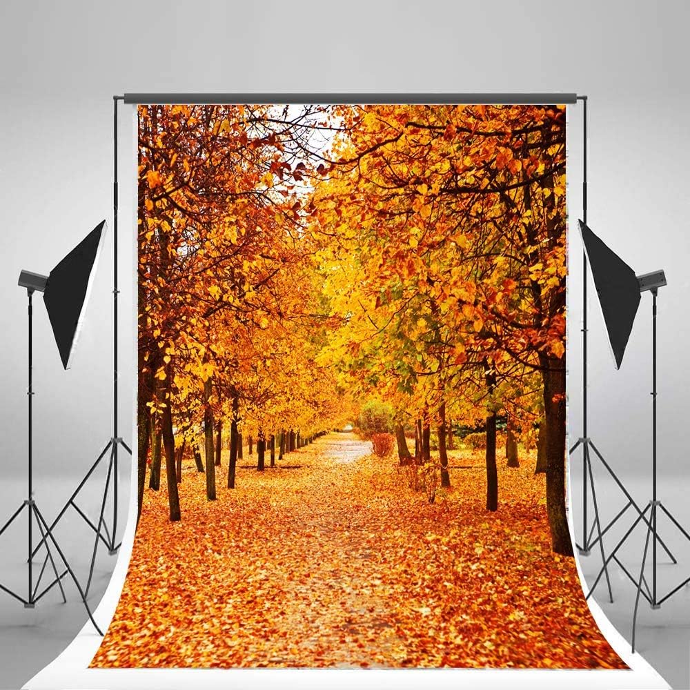 Laeacco 10x10FT Vinyl Photography Background Golden Autumn Trees Leaves Road Scenery Romantic Wedding Lovers Portraits Children Adults Photo Backdrop Studio Props