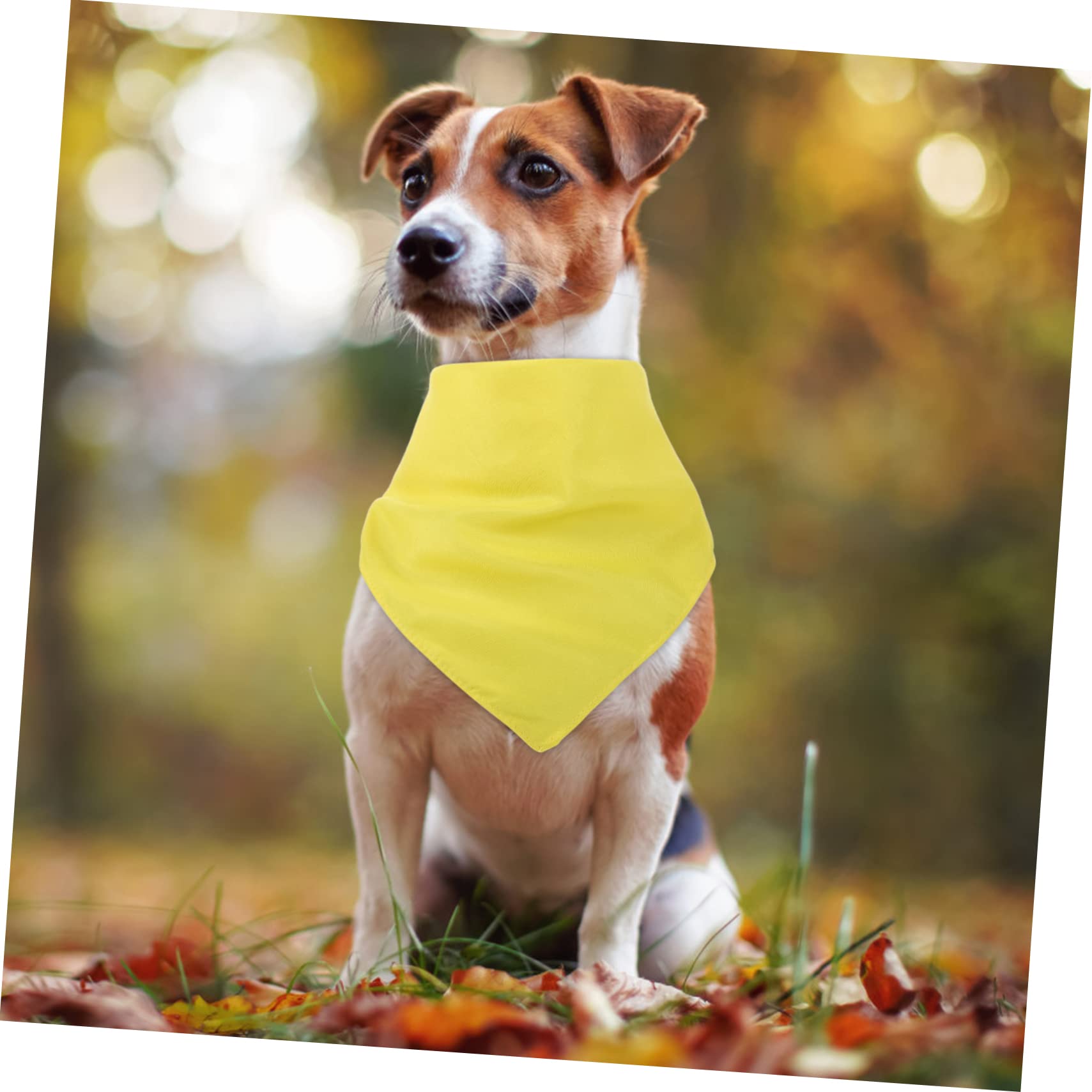 Beaupretty 20pièces Bandana pour Chien Écharpe Décorative Lavable Confortable Et Accessoire pour Photos Sorties Et Fêtes Grand Modèle