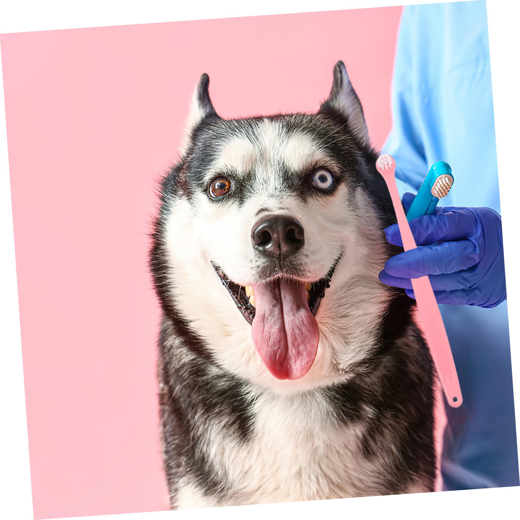 CIYODO Pet Toothbrush Dog Oral Cleaning Tool Puppy Tooth Brush Soft Bristles Pet Care Perfect for Cat Dog Owners