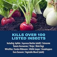 Vista 2 de BioAdvanced Control de plagas de tomate y verduras y asesino de insectos, 32 onzas, spray de manguera