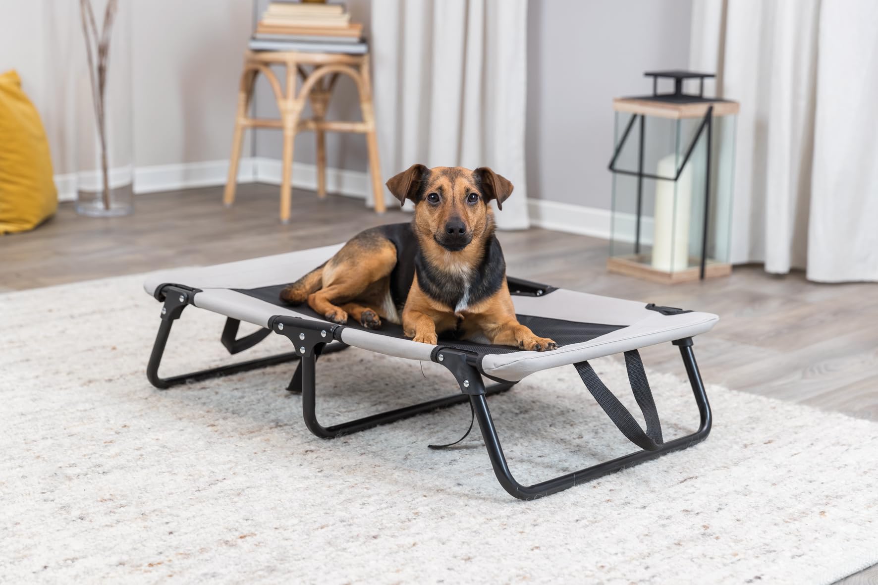 TRIXIE lit pour Chien Strong Edition Beige/Noir 79 × 19 × 50 cm Pliable Facile d'Entretien