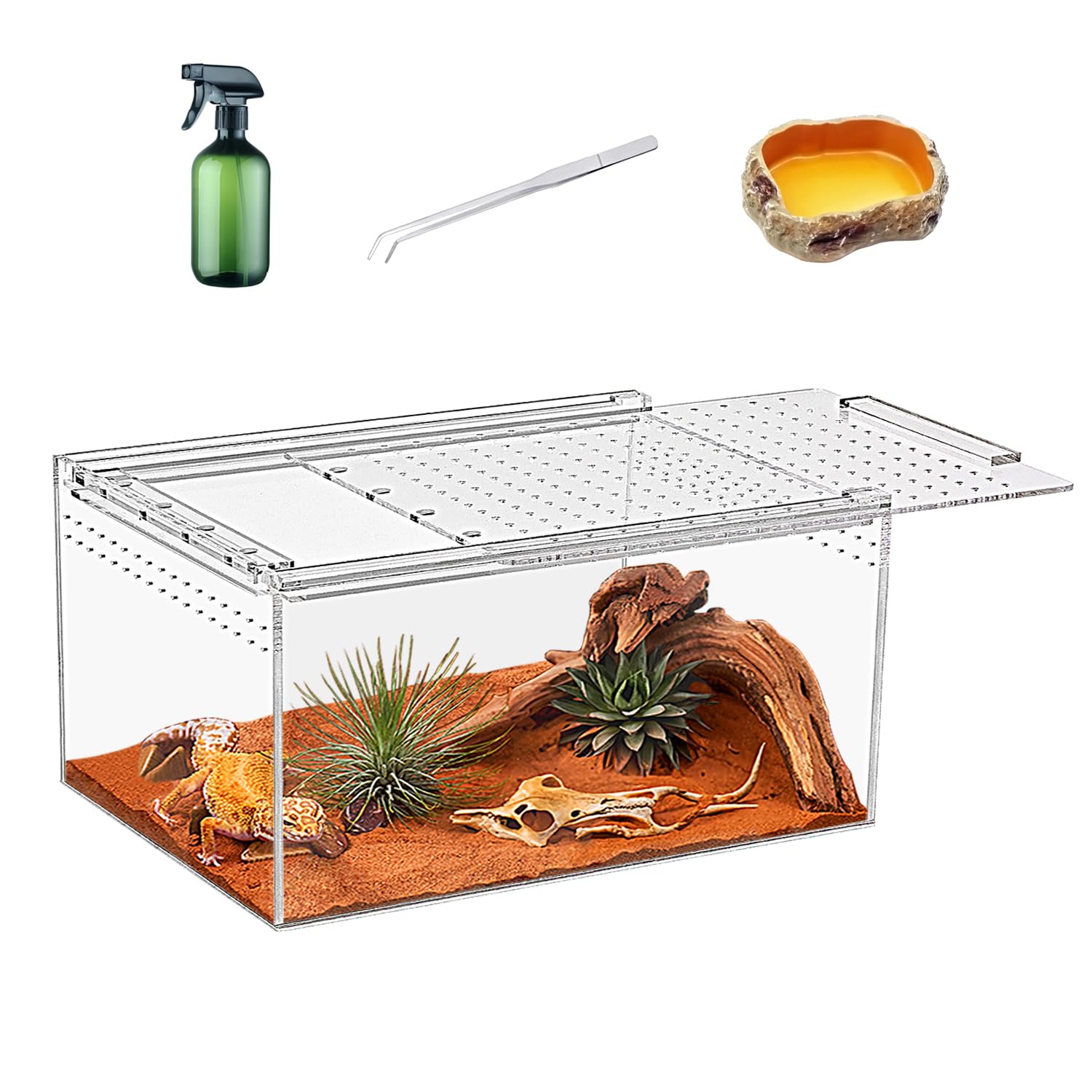 Reptiel Terrarium Set, Reptieltank 50 x 25 x 20 cm, voor insecten, vissen, tarantula's, heremietkrabben, springspinnen, leguanen, schildpadden, luipaardgekko's, kikkers, baardagamen