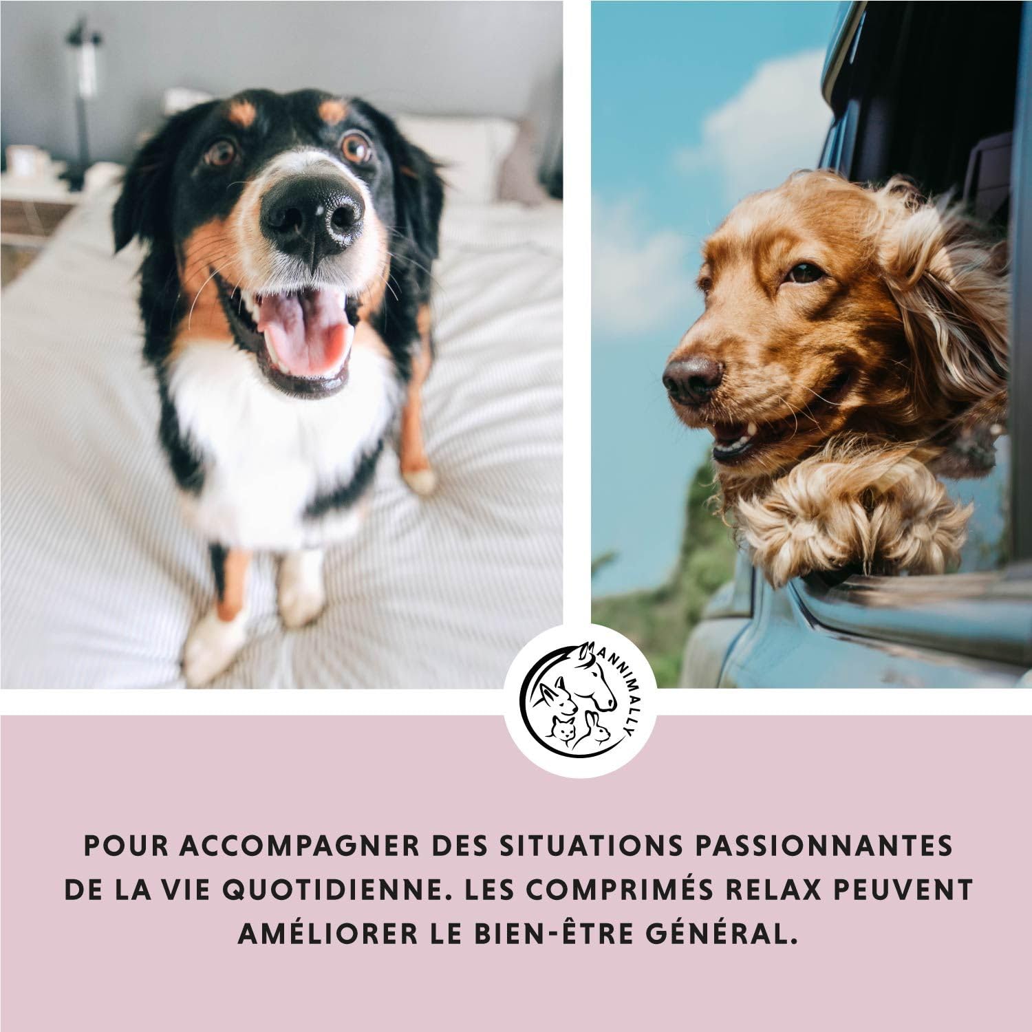 Anti Stress Chien Chiens - Comprimés de Bien-Etre calmant pour Chien avec valériane, millepertuis, L-tryptophane - 120 comprimés pour l'Anxiété & pour Le Voyage - complement Alimentaire Chien