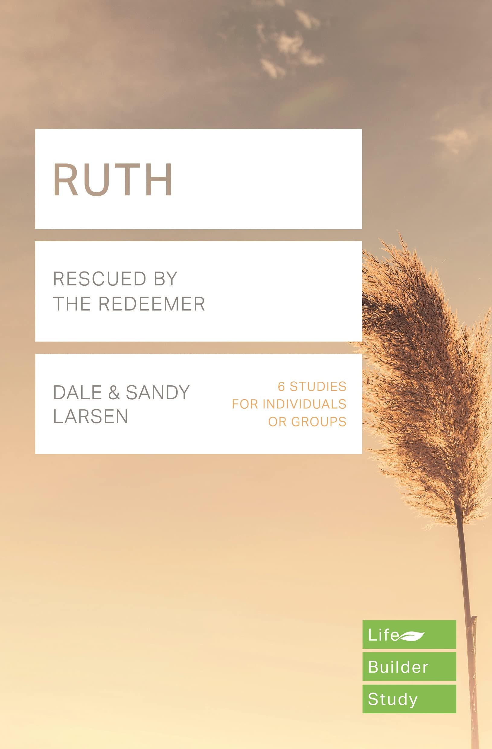Ruth (Lifebuilder Study Guides): Rescued by the Redeemer (Lifebuilder Bible Study Guides)