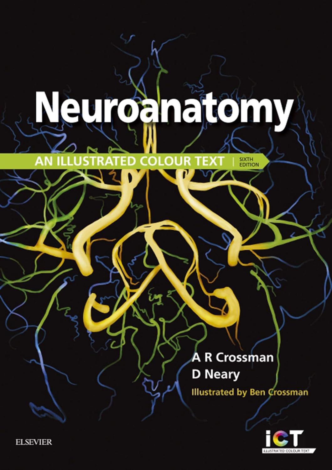 Neuroanatomy E-Book: An Illustrated Colour Text      6th Edition, Kindle Edition