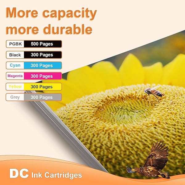 D&C 12x Cartuchos de Tinta compatibles para Canon PGI-525 CLI-526 para Canon Pixma MG5250 MG5300 MG5340 MG5350 MG6100 MG6150 MG6200 MG6250 MG8150 MG8250 MX710 MX715 MX880 MX885 MX895 iP4800 IP4840 - 3