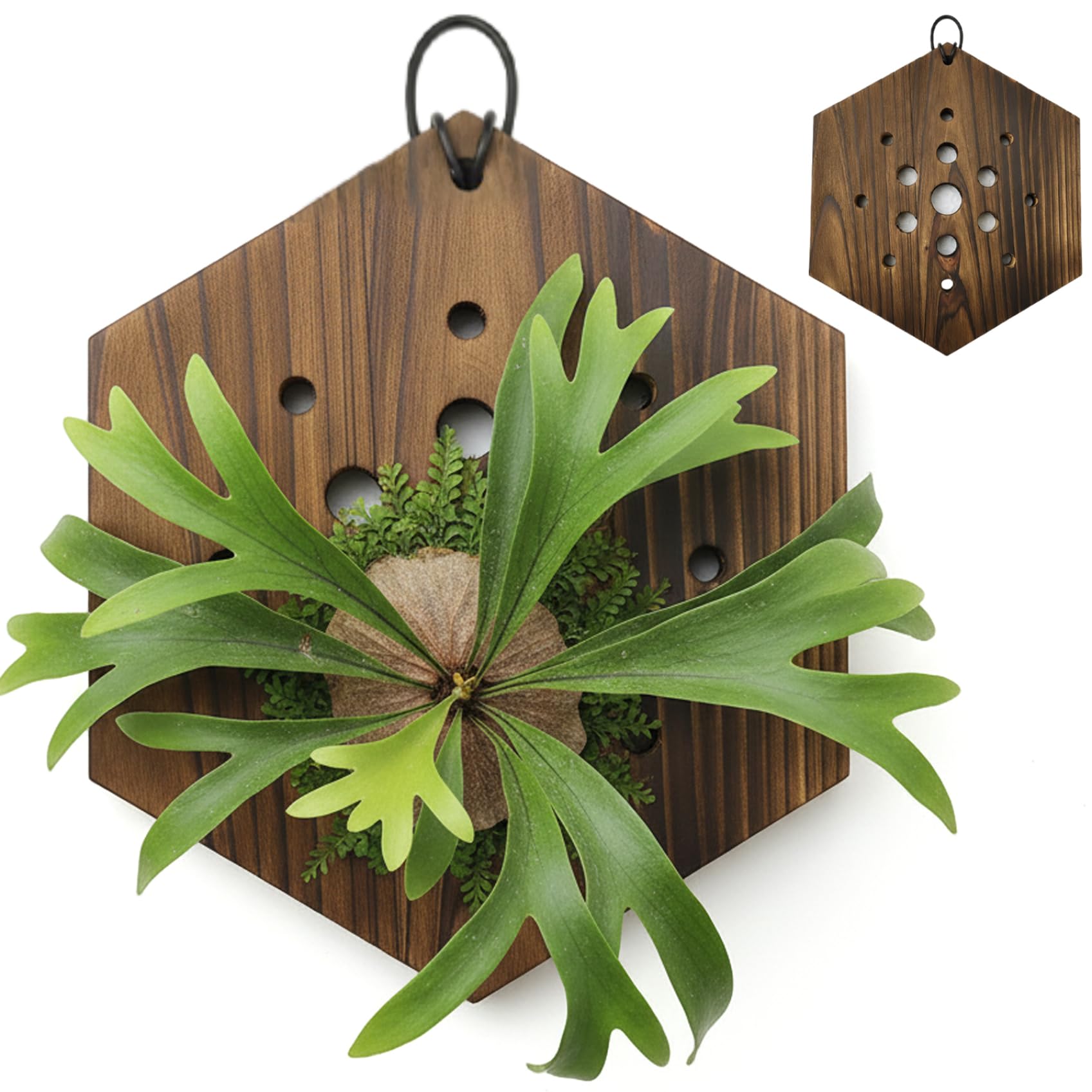 Jardinière murale suspendue en bois noble au design hexagonal épuré