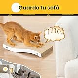 Ver la foto 5