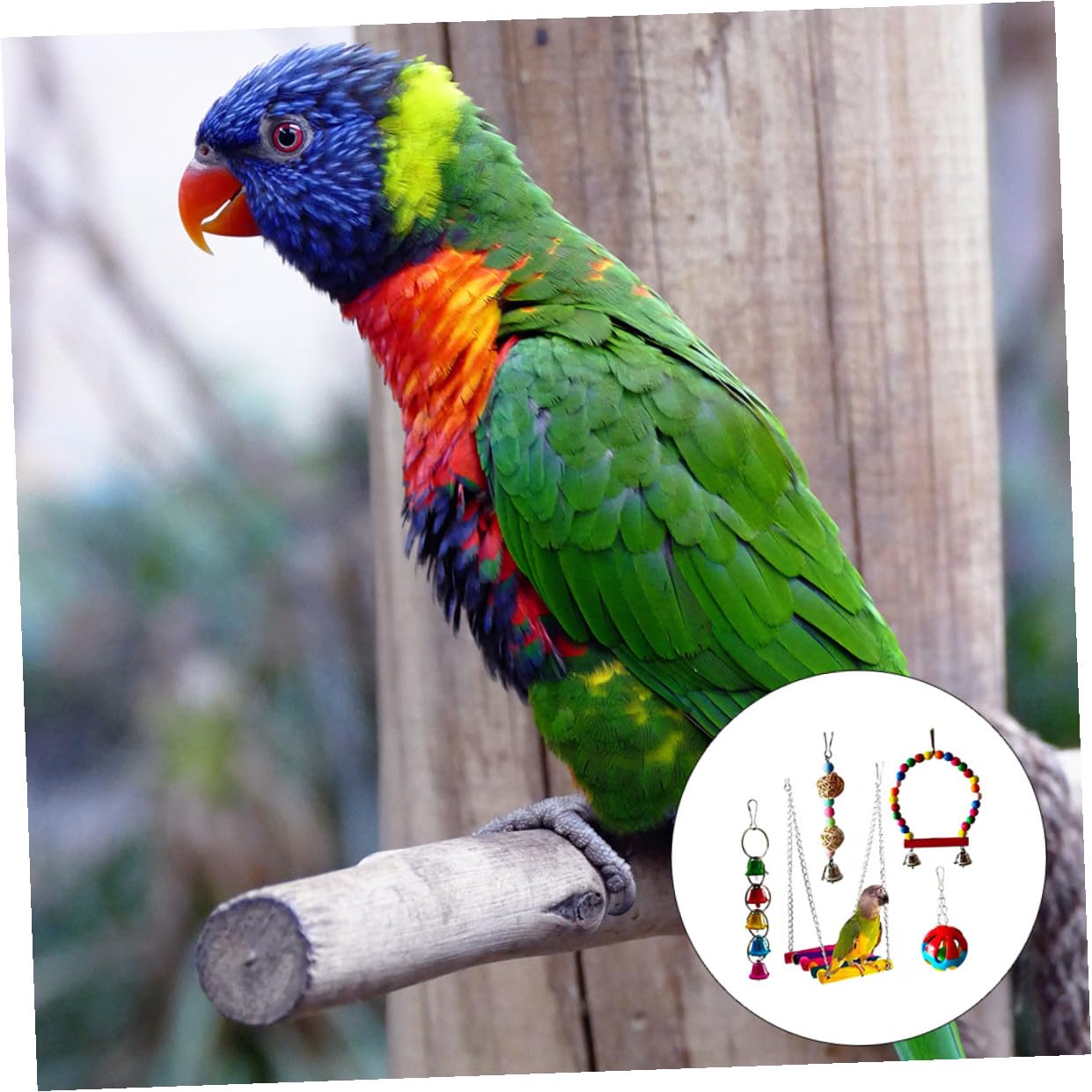 Juego de 5 Juguetes para Morder Loros Set de Juguetes Masticables para Pájaros Material Natural Seguro Diseño para Estimular Inteligencia en Aves Pequeñas y Medianas