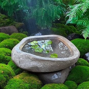 天然石台形水鉢・蹲・向鉢 Amazon.co.jp: つくばい 蹲 手水鉢 石 (S) 鉢 水鉢 睡蓮鉢