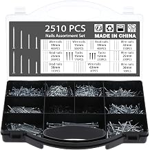 2510PCS Nails Assortment Kit, Galvanized Nails Set with Storage Case - Including Brad Head, Flat Head & Studs for Hanging Wall Art Decor, Picture Frame, Masonry, Woodwork, Decor