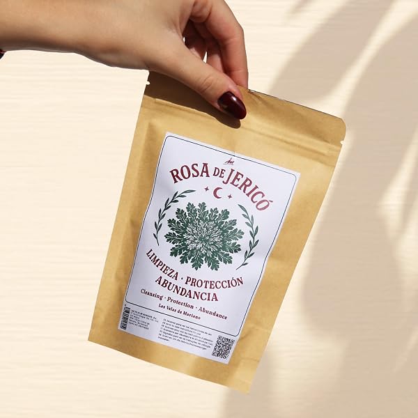 Rosa de Jericó, Planta Natural de Resurrección, para Prosperidad y Protección, con Instrucciones y Oración (2 Rosas) - 2
